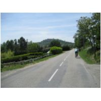 IMG_2807.JPG