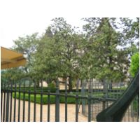 IMG_3762.JPG