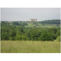 IMG_3854.JPG