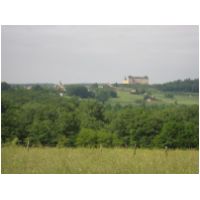 IMG_3855.JPG